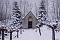 2.1.2004 - Národní sad