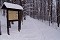 2.1.2004 - Národní sad