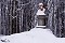 2.1.2004 - Národní sad