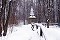 2.1.2004 - Národní sad