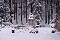 2.1.2004 - Národní sad