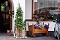 16.7.2005 - Neustift