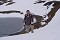 17.7.2005 - Stubaier Gletscher