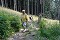 Radho