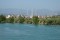 eka Manavgat.