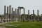Antick Perge