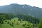 Poludnica - 1549 m.n.m.