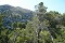 Mirador de Penya Rotja