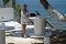 Taverna na pobe