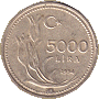 5000 lir